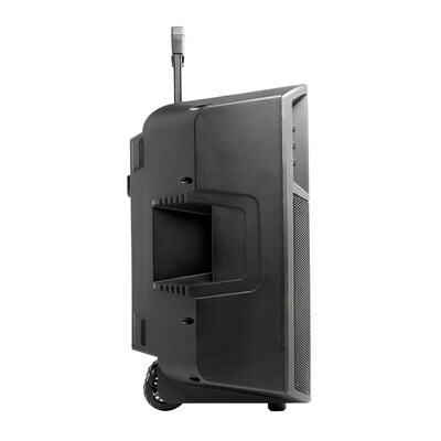 ION Power Glow 300 Wireless Bluetooth Portable Party System Speaker with Lights, Mic & Stereo-Link, Black (POWERGLOW300XUS)