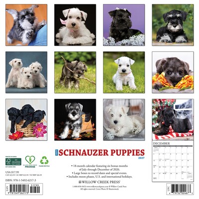 2027 Willow Creek Schnauzer Puppies 12 x 12 Monthly Wall Calendar, Assorted Colors (62173)
