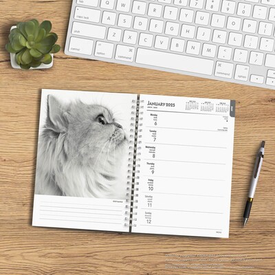 2025 BrownTrout Portrait Series: The Regal Cat 6" x 7.75" Weekly Engagement Planner, Paper Cover, Multicolored (9781975473211)