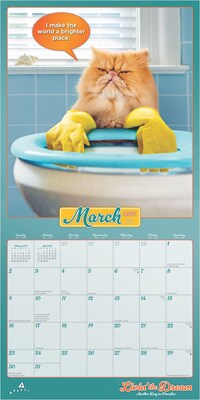 2025 BrownTrout Avanti Livin' the Dream  12" x 12" Monthly Square Wall Calendar (9781975479695)