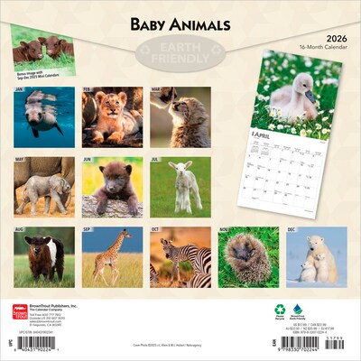 2026 BrownTrout Baby Animals 12 x 12 Monthly Wall Calendar (9798330702244)
