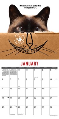 2026 Willow Creek Bad Kitties 12" x 12" Monthly Wall Calendar (50040X)