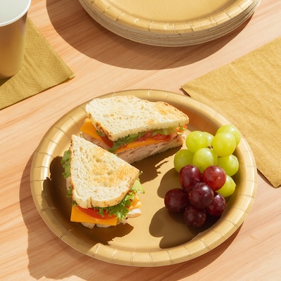 Creative Converting Touch of Color Paper Plates, Glittering Gold, 240/Carton (47103B)