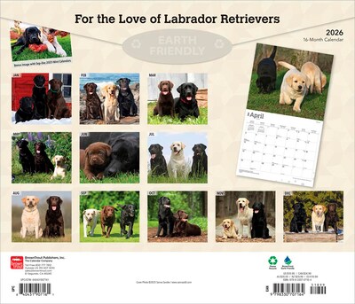 2026 BrownTrout For the Love of Labrador Retrievers 14 x 12 Monthly Wall Calendar (9798330707164)
