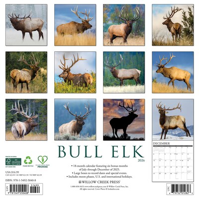 2026 Willow Creek Bull Elk 12 x 12 Monthly Wall Calendar (50408)