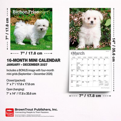 2027 BrownTrout Bichon Frise Puppies 7" x 7" Monthly Wall Calendar, Assorted Colors (9798330709892)