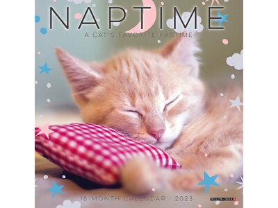 2023 Willow Creek Naptime - A Cats Favorite Pastime 7 x 7 Monthly Wall Calendar (30417)
