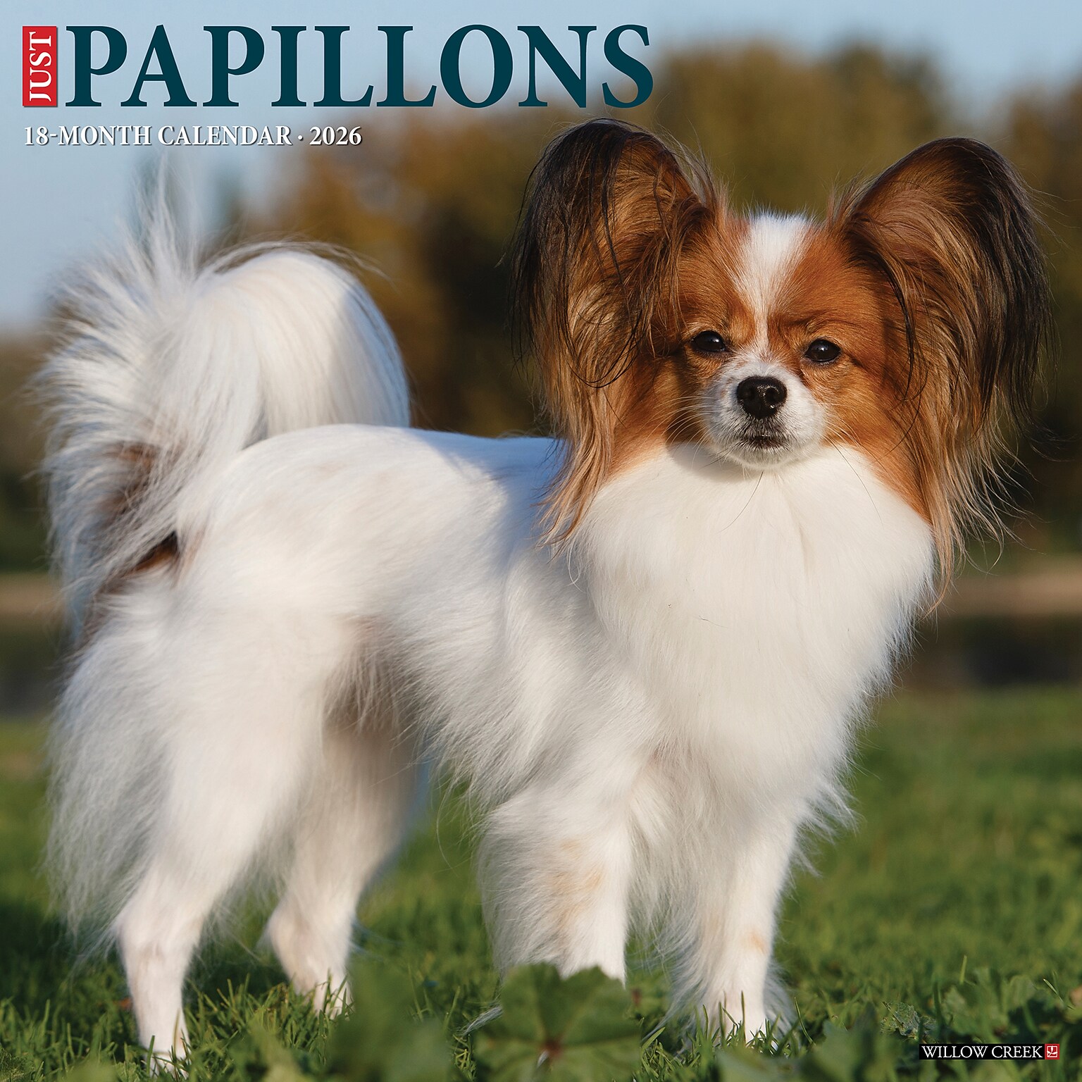 2026 Willow Creek Papillons 12 x 12 Monthly Wall Calendar (52303)