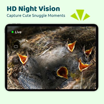 Birdfy Nest Ebony Birdhouse with Camera, Solar Panel and AI by Subscription, Multicolored (EPPAMBNI8802110)