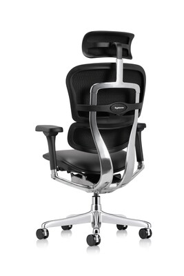 Eurotech Ergohuman Gen2 High Back Leather Office Chair w/ Headrest, Black (LE9ERG-GEN2)