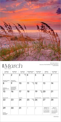 2026 BrownTrout America 7" x 7" Monthly Wall Calendar (9798330702060)