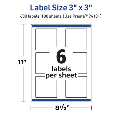 Avery Laser/Inkjet Multipurpose Labels, White, 6 Labels/Sheet, 100 Sheets/Pack (94101-TWMP100)