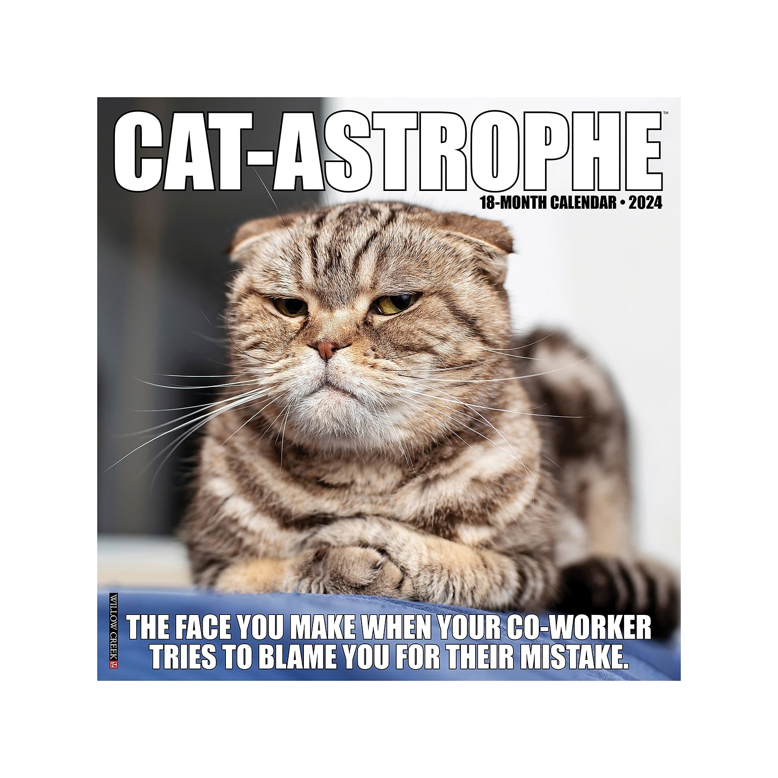 2024 Willow Creek Cat-Astrophe 12 x 12 Monthly Wall Calendar (32893)