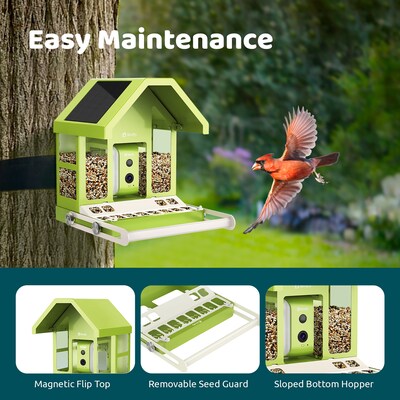 Birdfy Smart Bird Feeder with Camera, Solar Panel and AI by Subscription, Green (EPPAMBNI8172100)