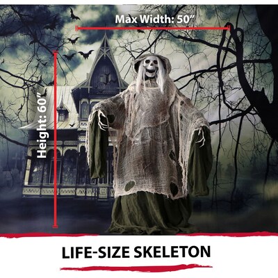 Haunted Hill Farm Life-Size Animatronic Moaning Skeleton with Rotating Head (HHSKEL-1FLSA)