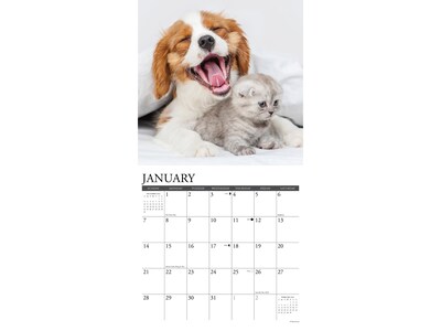 2024 Willow Creek Kittens & Puppies 12" x 12" Monthly Wall Calendar (34187)
