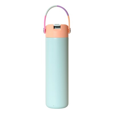 Elemental Core Stainless Steel Double Wall Insulated Water Bottle, 24 oz., Mint Sorbet (EMLEBC24MS11)