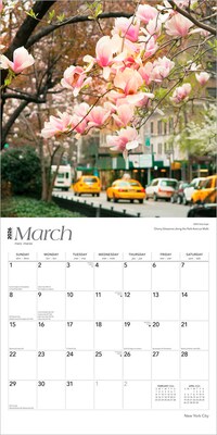 2026 BrownTrout New York City 12" x 12" Monthly Wall Calendar (9798330704873)