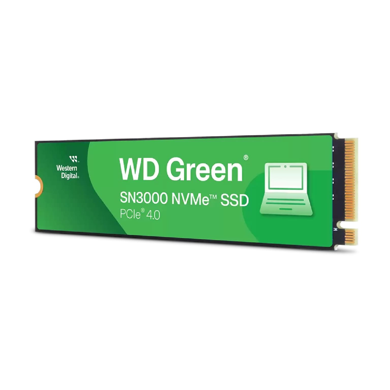 Western Digital WD Green SN3000 1 TB PCI Express NVMe Internal Hard Drive (WDS100T4G0E-00CLF0)