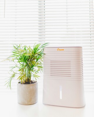 Crane 4-Pint Portable Dehumidifier, 2-Speed, Covers up to 300 sq. ft., White (EE-1000)