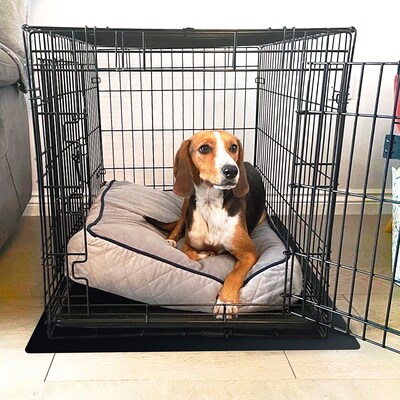 Floortex P-Tex Polypropylene Pet Crate Floor Protection Mat, 32 x 50, Black (NCSMFLLS0003)