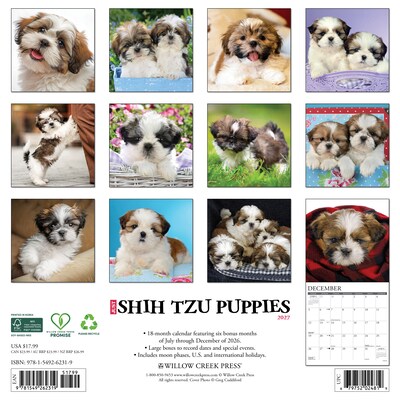 2027 Willow Creek Shih Tzu Puppies 12 x 12 Monthly Wall Calendar, Assorted Colors (62319)
