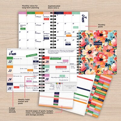 TF Publishing Luxe 8.5" x 9" Weekly & Monthly Planner, Paperboard Cover, Multicolored (99-9901)