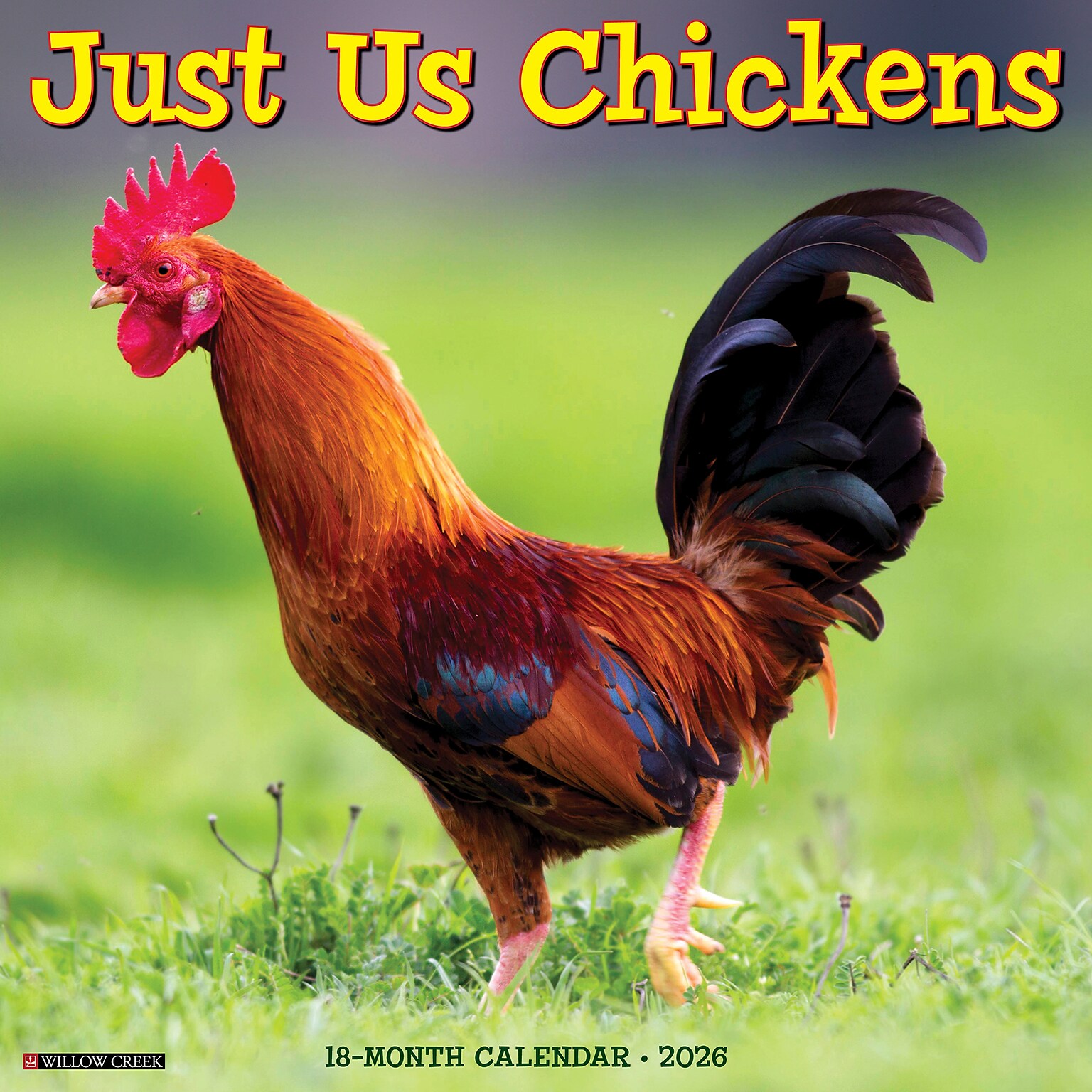 2026 Willow Creek Chickens 12 x 12 Monthly Wall Calendar (51658)