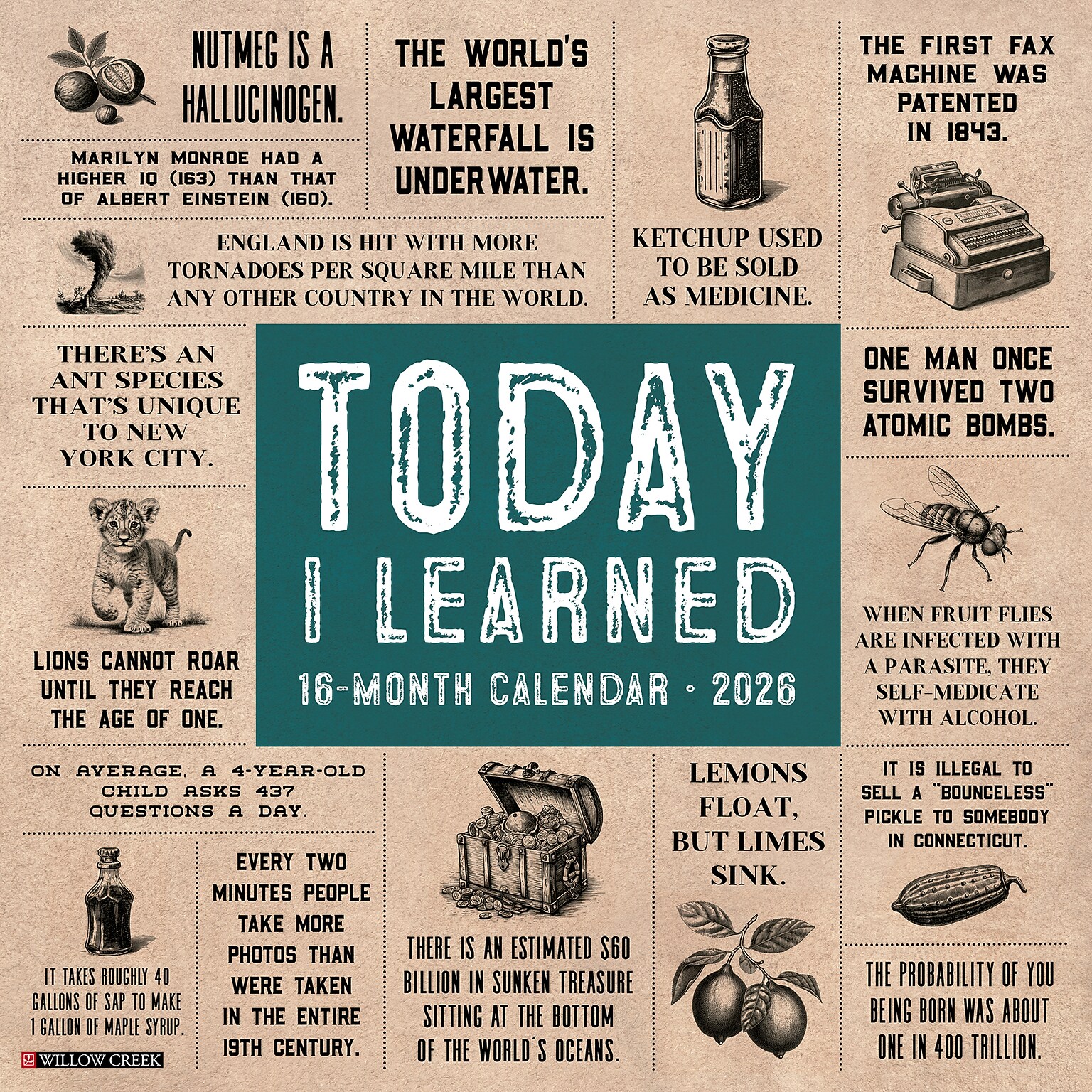2026 Willow Creek Today I Learned 12 x 12 Monthly Wall Calendar (52976X)