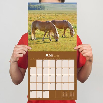 2026 TF Publishing Horses 12" x 12" Monthly Wall Calendar (26-1012)