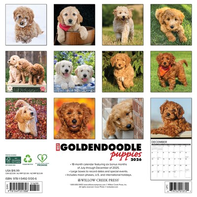 2026 Willow Creek Goldendoodle Puppies 12 x 12 Monthly Wall Calendar (51306)