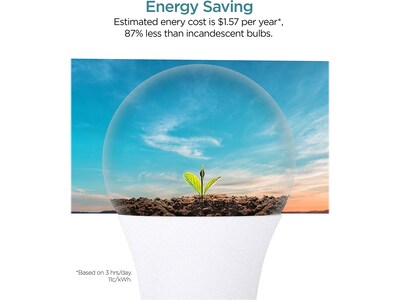 Viribright Pro 9-Watt Cool White LED General-Purpose Bulb, 48/Box (640339-50P)