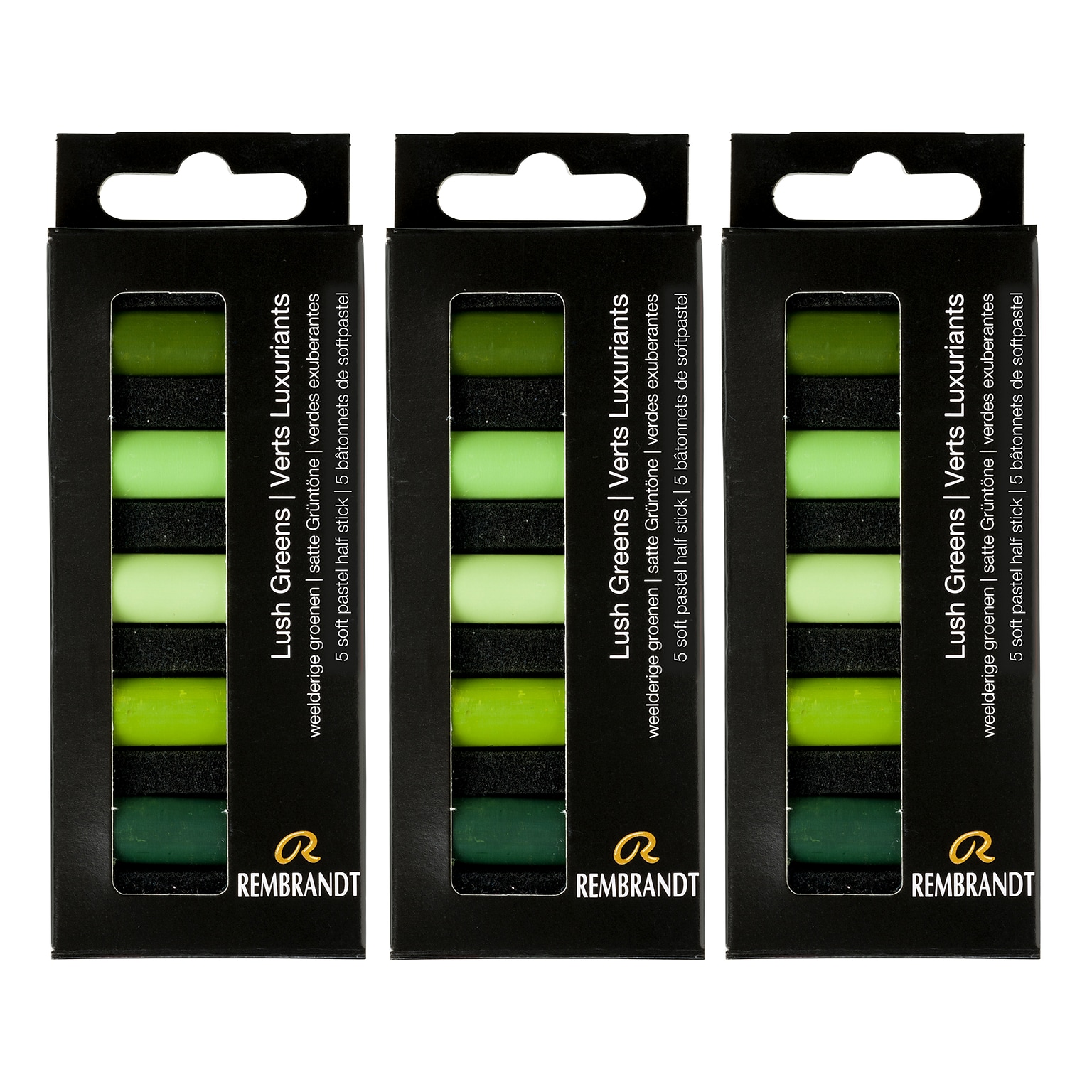 Rembrandt Soft Pastels Micro Sets, Lush Greens, 5/Set, 3 Sets/Bundle (RBX31820510-3)