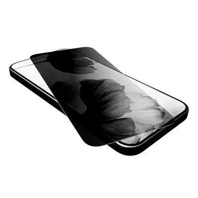 cellhelmet Tempered Glass Privacy Filter & Screen Protector for iPhone 17 Pro Max (CHELSP123C000)
