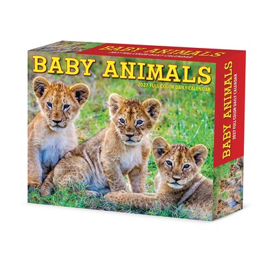 2027 Willow Creek Baby Animals 6.2 x 5.4 Daily Day-to-Day Calendar, Assorted Colors (63262)