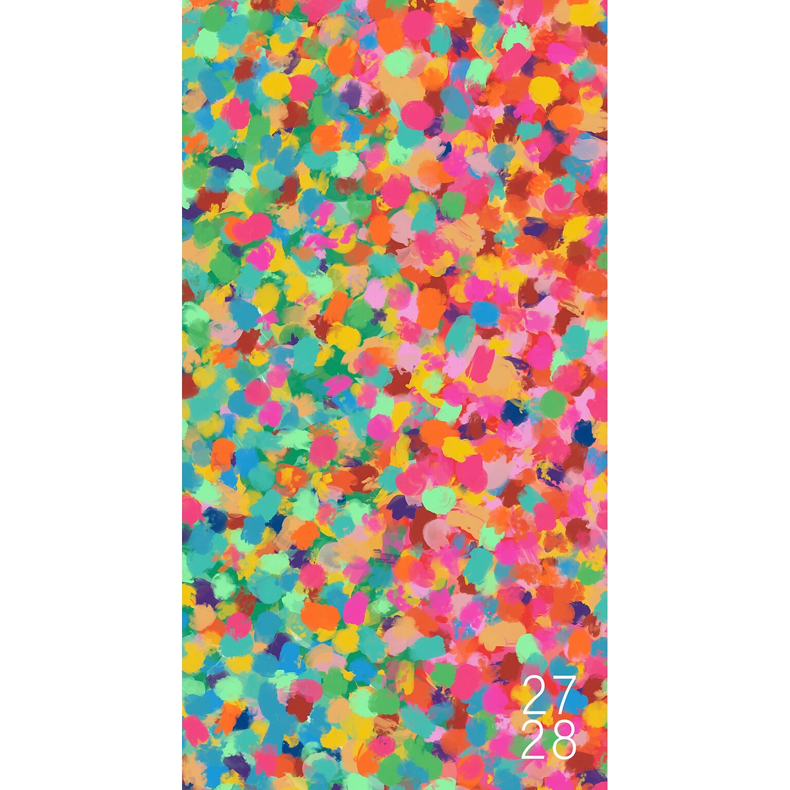 2026-2028 Willow Creek Confetti Pop 3.5 x 6.5 Monthly Wall Calendar, Assorted Colors (66034)