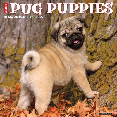 2027 Willow Creek Pug Puppies 12 x 12 Monthly Wall Calendar (61930)