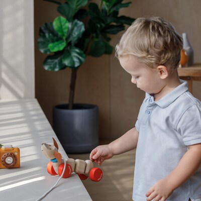 Plan Toys Happy Puppy Wooden Pull Toy, Natural (PTS5101)