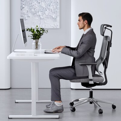 FlexiSpot ET155E 48"W Electric Rectangular Adjustable Standing Desk, White
