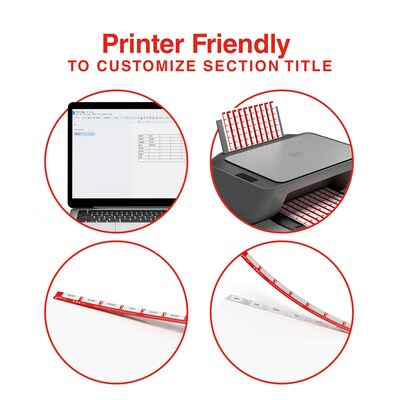 Staples View Plastic Dividers, Multicolor, 8-Tabs (ST63072)