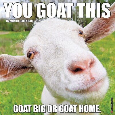 2027 Willow Creek You Goat This 12 x 12 Monthly Wall Calendar, Assorted Colors (63132)