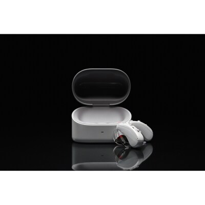 Zepp Clarity Omni Hearing Aids, Gray (E2317OV2N)