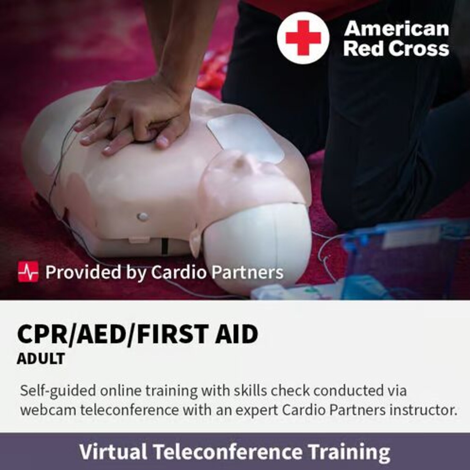 American Red Cross Virtual First Aid, CPR & AED Training, 1 Student (FACPRAEDAVKIT)