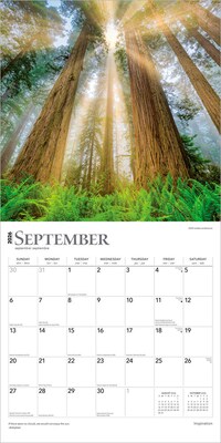 2026 BrownTrout Inspiration 12" x 12" Monthly Wall Calendar (9798330703913)