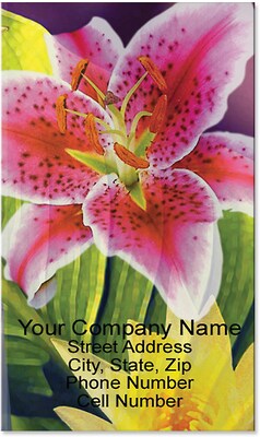 Custom HDI Monthly Pocket Calendar