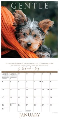 2027 Willow Creek So God Made a Dog 12" x 12" Monthly Wall Calendar, Assorted Colors (62418)