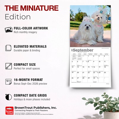 2027 BrownTrout Maltese 7" x 7" Monthly Wall Calendar (9798330710041)