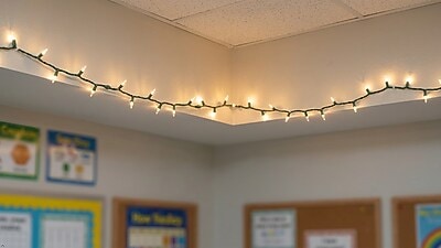 Excello Global Products Indoor/Outdoor LED Holiday String Lights, White Bulb/Green Wire, 2 Strands of 25' (EGP-HL-GW-WL)