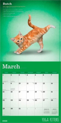 2026 Plato Yoga Kittens 12" x 12" Monthly Wall Calendar (9798330701964)
