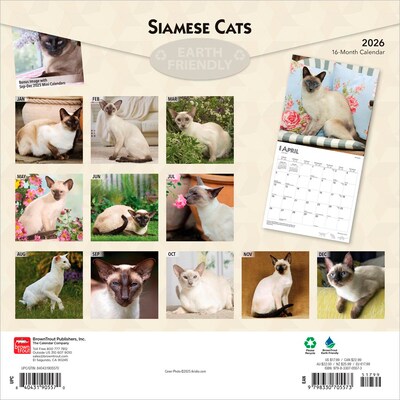 2026 BrownTrout Siamese Cats 12 x 12 Monthly Wall Calendar (9798330705573)
